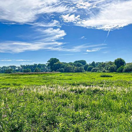 Haffblick Wohnung 60 Boltenhagen  Buitenkant foto